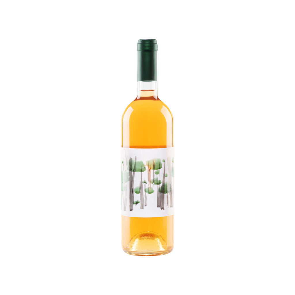 Doric white - Doric wines - Giorgos Balatsouras - Roditis Malagousia - Natural Wine - Delphi, Greece - Organic wine - Eklektikon