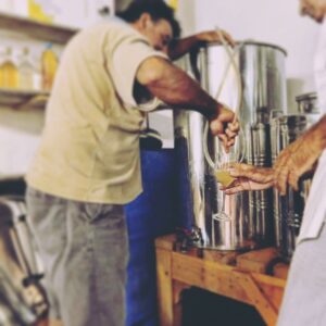 Pontiglio - Corfu / Kerkyra - Ionian Islands - Ionian sea - Greece - Sustainable wine - Natural wine - Kakotrygis, Skopelitiko - Eklektikon