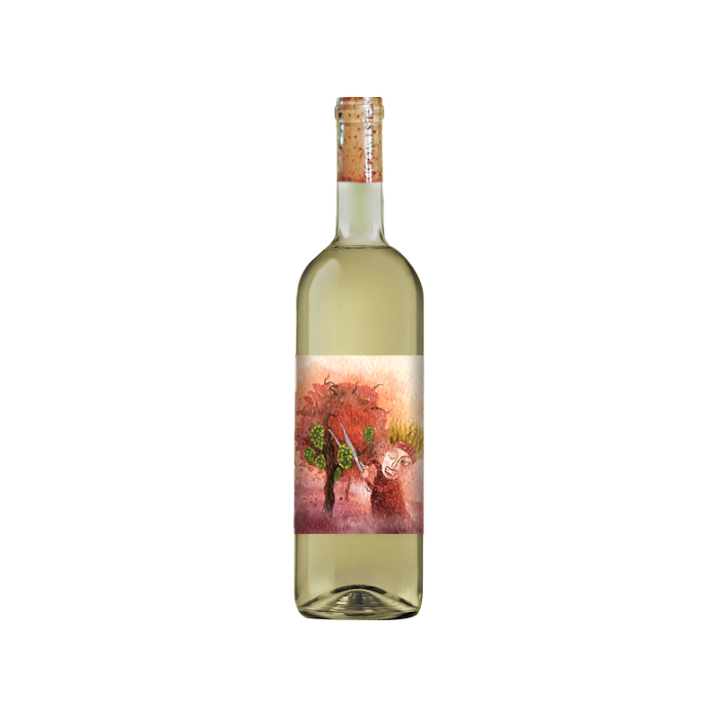 Lianoroido - Pontiglio Sustainable Vineyards - Corfu, Ionian Islands, Greece - natural orange wine - kakotrigis - Eklektikon